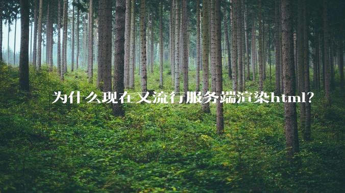 为什么现在又流行服务端渲染html？