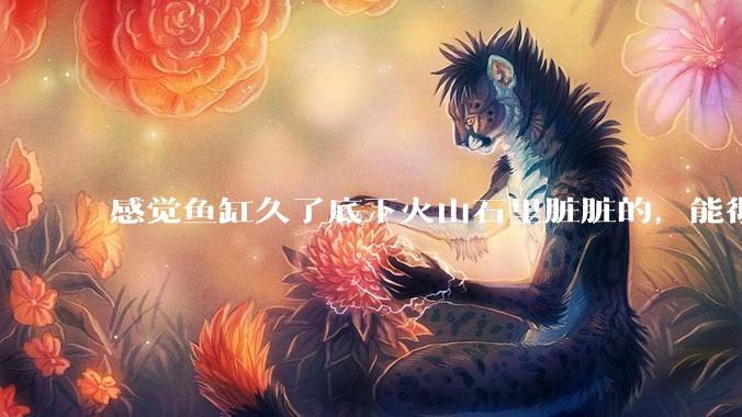 感觉鱼缸久了底下火山石里脏脏的，能彻底换水清理一遍不？